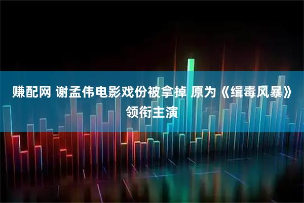 赚配网 谢孟伟电影戏份被拿掉 原为《缉毒风暴》领衔主演
