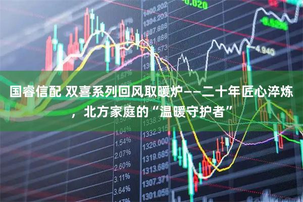 国睿信配 双喜系列回风取暖炉——二十年匠心淬炼，北方家庭的“温暖守护者”