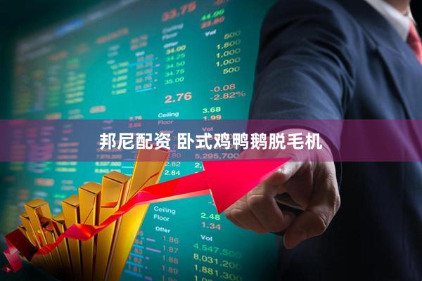 邦尼配资 卧式鸡鸭鹅脱毛机