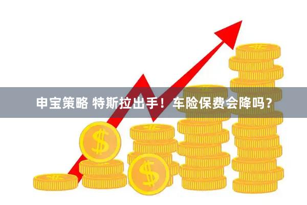 申宝策略 特斯拉出手！车险保费会降吗？