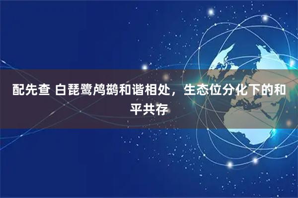 配先查 白琵鹭鸬鹚和谐相处，生态位分化下的和平共存