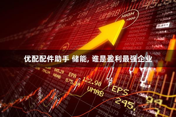 优配配件助手 储能, 谁是盈利最强企业